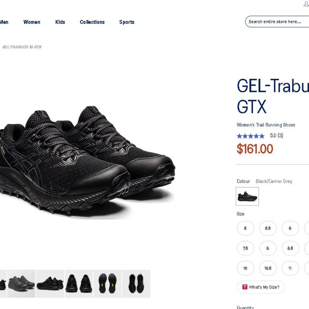 Asics Trabuco 10 GTX Gore-Tex Hiking Shoe